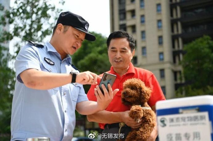 铲屎官们犬牌送到家门口了速收