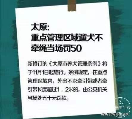 太原最严禁狗令11月1号正式实施，“铲屎官”们怎么看